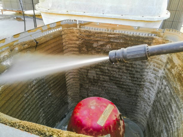 Best Air Duct Mold Removal  in Mansfield, LA