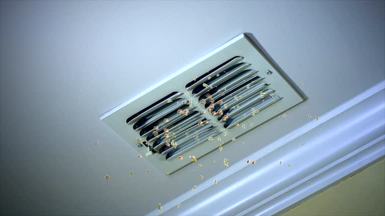 Best Residential Air Duct Cleaning  in Mansfield, LA